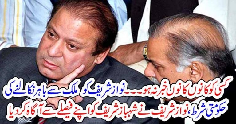 Nawaz and, Shehbaz, Shareif, Planing, to, go, abroad, but, plan, is,hidden