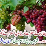 when, in, the, house, of, Hzarat Noh A.S, a, grapes, tree, was, Blown, by, Devil