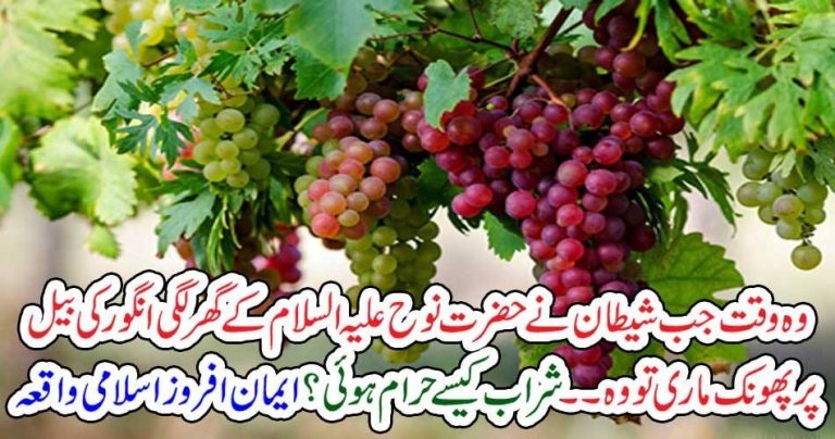 when, in, the, house, of, Hzarat Noh A.S, a, grapes, tree, was, Blown, by, Devil