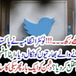 Twitter, administrations, fired, indians, and, handed, over, complaints, rights, to, dubai, offices, on, Pakistani, complaints, of, affecting, twitter, accounts, badly