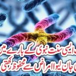 Sunnah, teaches, the, best,way, to, be, safe, from, every, disease, know, how,