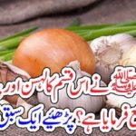 Nabi Hazrat Muhhamd S.A.W.W, prohibited, to, use, this, type, of, onion, and, garlic