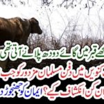 a, Muslim, man, fell, into, well, and, cannot, come, out, for, 35, years, when, he, recovered,alive,he, revealed, that, a, cow, came, there, continuously, to, feed,him,millk
