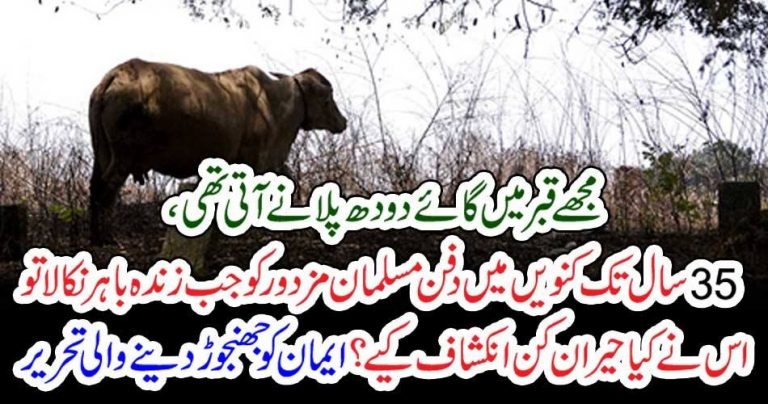 a, Muslim, man, fell, into, well, and, cannot, come, out, for, 35, years, when, he, recovered,alive,he, revealed, that, a, cow, came, there, continuously, to, feed,him,millk