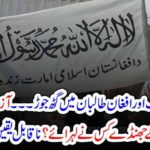 Flag, of, Taliban, in, JUI, F, Jalsa, who, hoisted, the,flags, of, taliban