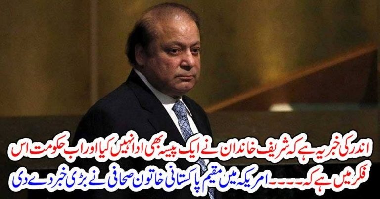 On, refusal, by, Nawaz Shareif, to, give, any, money, to, government, Pakistani, based, american, columnist, analysis