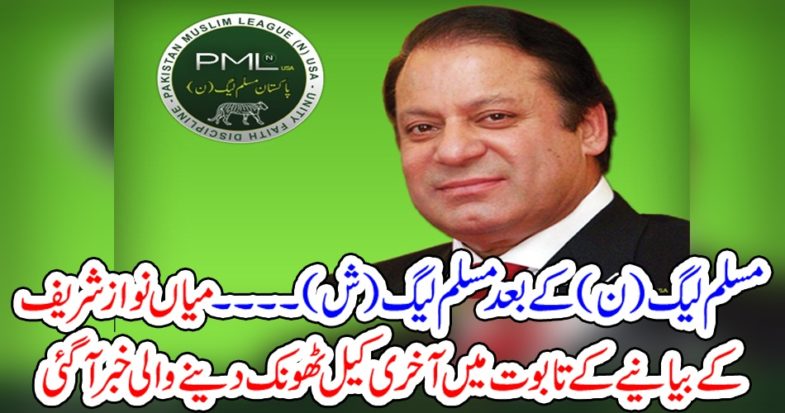 Nawaz Sahreif, politics, is, going, to, be, finished, PMLN, is, going, to, be, PMlN, Sheen