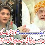 why, maryam nawaz, is, silent, Nawaz sharief, daughter, blow, up, the, baloon, of, opposition, by, quitting, her, politics