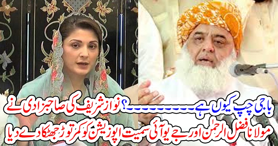 باجی چپ کیوں ہے ۔۔۔۔۔۔؟ نواز شریف کی صاحبزادی نے مولانا فضل الرحمٰن اور جے یو آئی سمیت اپوزیشن کو کمر توڑ جھٹکا دے دیا