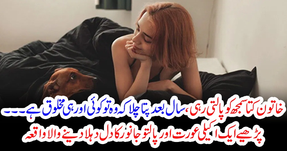 خاتون کتا سمجھ کو پالتی رہی ، سال بعد پتا چلا کہ وہ تو کوئی اور ہی مخلوق ہے ۔۔۔ پڑھیے ایک اکیلی عورت اور پالتو جانور کا دل دہلا دینے والا واقعہ