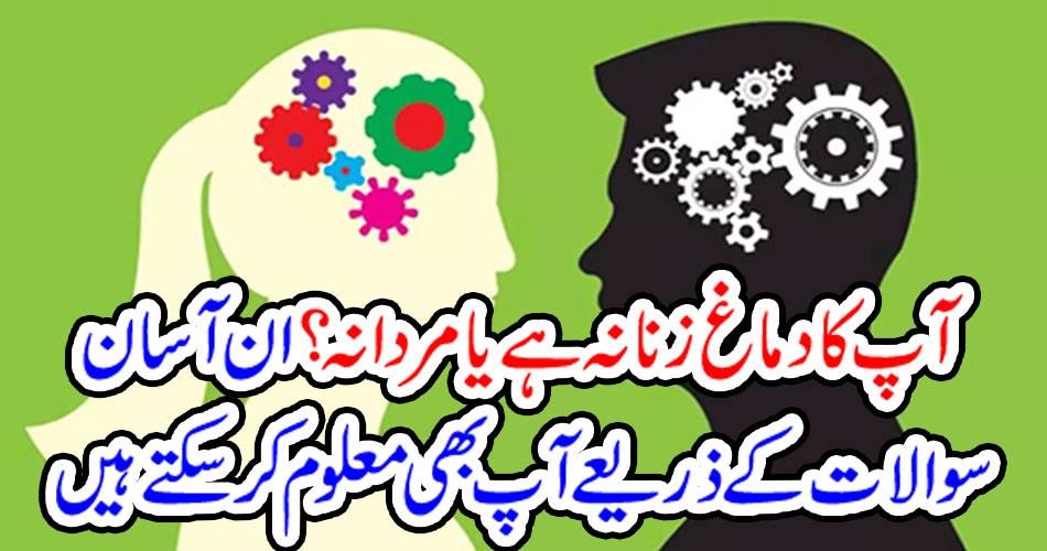آپ کا دماغ زنانہ ہے یا مردانہ؟ان آسان سوالات کے ذریعے آپ بھی معلوم کر سکتے ہیں