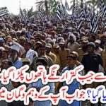 MOlana Fazal ur rahman, dharna, Pocket, thief,got, captured