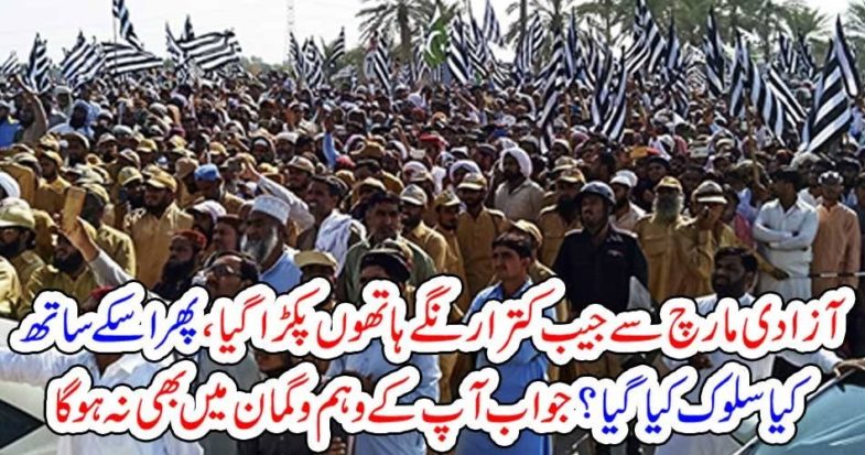 MOlana Fazal ur rahman, dharna, Pocket, thief,got, captured