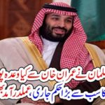 Muhammad Bin Salman, fulfilled,his, promise, with, Imran Khan, ordered, the, biggest