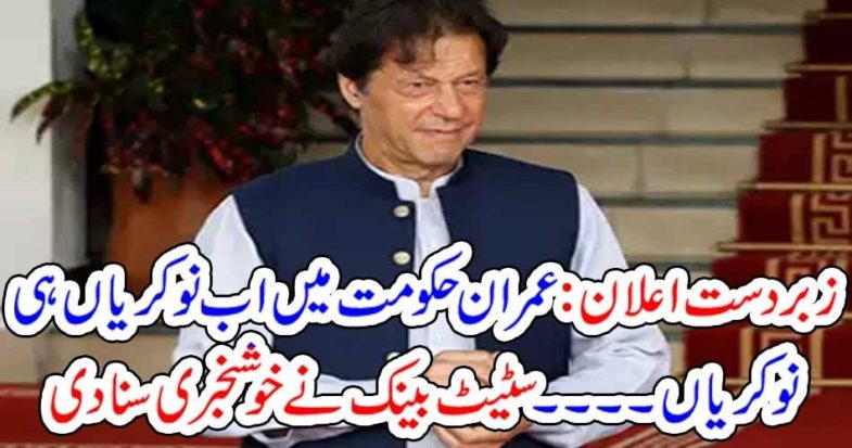Imran Khan, Government, stated, the, biggest, all, services