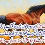 the, possibilities, that, if, king, dies, and, i, will, be, the, king, but, its, also, possible, that, horse, can,fly, javed ch, column