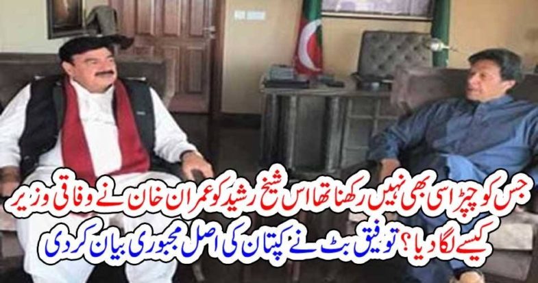 Imran Khan, used, to, call, him, a, peon, but, then, he, intended, to, give, him, very, important, ministry, and, cabinet, place, says, Haroon Rasheed columns