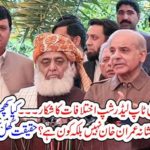 PMLN, Top, leadership, have, differences, with, each, other, on, dharna, issue