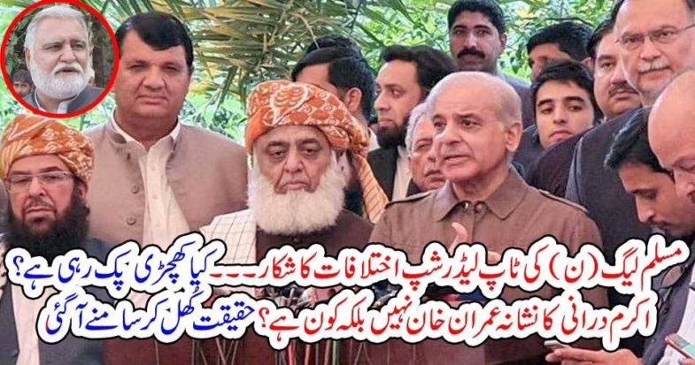 PMLN, Top, leadership, have, differences, with, each, other,  on, dharna, issue