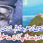 What, does, Hazrat Adam,A.S,do, when, he, arrived, on, the, earth, interesting, facts