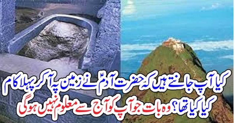 What, does, Hazrat Adam,A.S,do, when, he, arrived, on, the, earth, interesting, facts