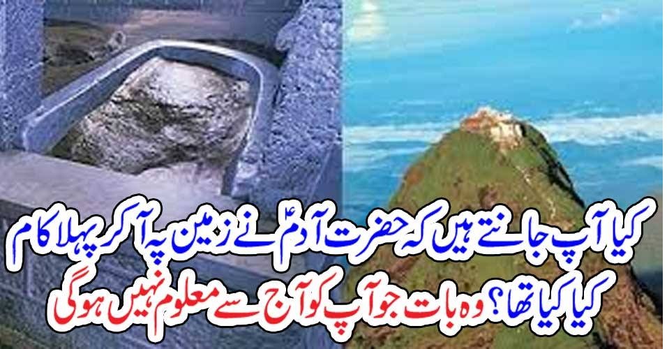 کیا آپ جانتے ہیں کہ حضرت آدم ؑ نے زمین پہ آکر پہلا کام کیا کیا تھا ؟ وہ بات جو آپ کو آج سے معلوم نہیں ہوگی