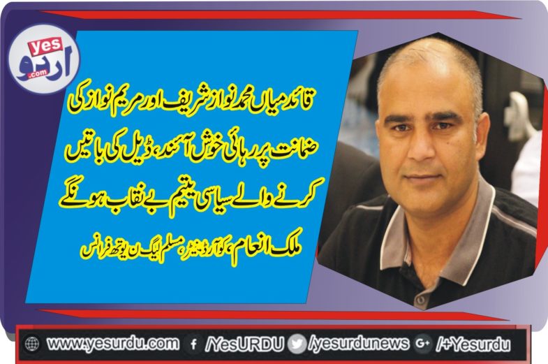 MALIK INAM, COORDINATOR, PMLN, YOUTH, WING, FRANCE, CONDEMNED, GOVERNMENT, EFFORTS