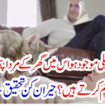 the, house, where, cats, are, pets, husbands, usually, left, women