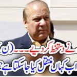 Mian Nawaz Sahreif, signed, the, agreement, or, some, other, documents, now, he, wanted, to, shift, him, to, sharief,medical,city,hospital