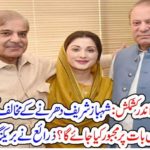 Nawaz Sharief, is, in, favor, of, dharna, but, Shehbaz Sharief, is, against, it, now, after, bail, Maryam Nawaz, is, being, forced, to, do, another, strategy