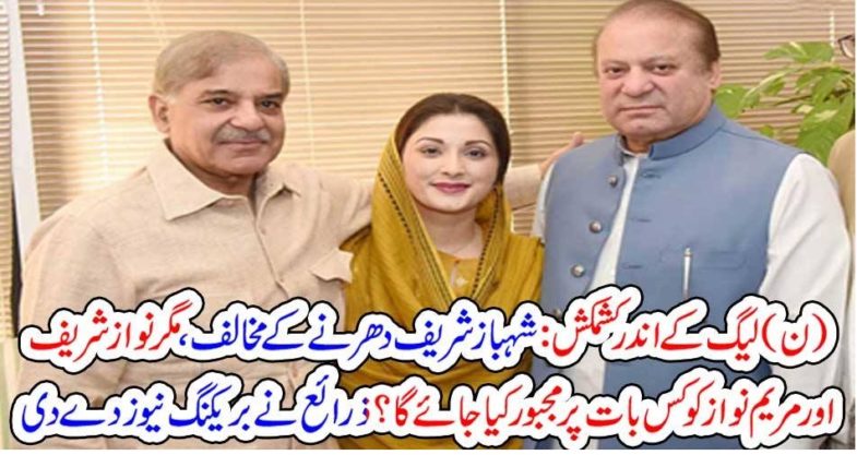 Nawaz Sharief, is, in, favor, of, dharna, but, Shehbaz Sharief, is, against, it, now, after, bail, Maryam Nawaz, is, being, forced, to, do, another, strategy