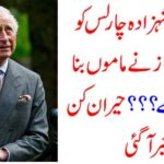 Prince, Charles, shocked, by, a, fraudulent, man