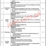 Planning & Development Board Punjab Jobs 2019 for 9+ Assistant Directors, Deputy Directors, Office Staff & Other
