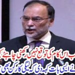 MARYAM NAWAZ, IS, NOT, SUPPOSE, TO, PARTICIPATE, IN, DHRNA, POLITICS, SAYS, AHSAN IQBAL