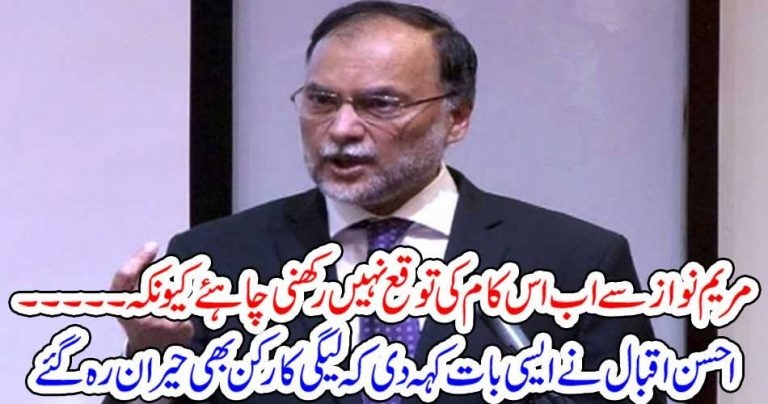 MARYAM NAWAZ, IS, NOT, SUPPOSE, TO, PARTICIPATE, IN, DHRNA, POLITICS, SAYS, AHSAN IQBAL