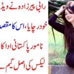 RABI PIRZADA, HERSELF, PLANNED, THE, VIDEO, DRAMA, TO, ENHANCED, THE, VULGARITY, IN, THE, SOCIETY, FAMOUS, ACTRESS, CAME, AGAINST, HER