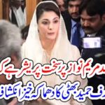Arif Hameed Bhatti, important, facts, revealed, Shehbaz shareif, is, going, to, be, very, important, in, future, of, Pakistan