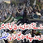 dealers, did, their, work, benifiting, from, dharna, they, earned, billions, of, rupees
