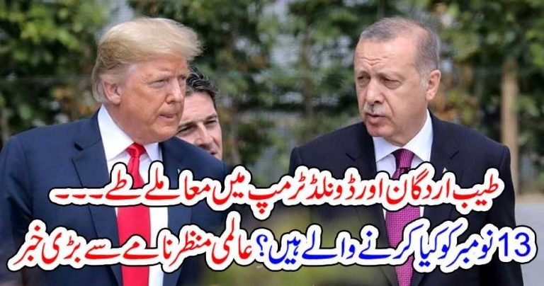 donald trump, and, tayyab erdgon, agreed, on, 13, november, for, big, task, of, syria, to, be, completed