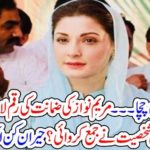 Neither, her, Father, nor, Uncle, who, deposited, 7 millions, rupees, for, Maryam Nawaz, for, her, bail, it, was, her, husband, captain, Safdar, who, deposited, sum, of, 7millions, in, court, and, submitted, bail, plea