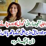 Wife, of, Shehbaz Sharief, Tehmina Durrani, got, heart Attack, ex-Chief Minister, worried, abut, wife