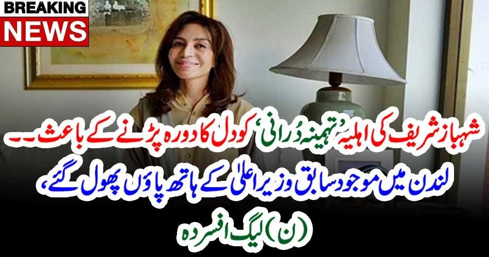 Wife, of, Shehbaz Sharief, Tehmina Durrani, got, heart Attack, ex-Chief Minister, worried, abut, wife