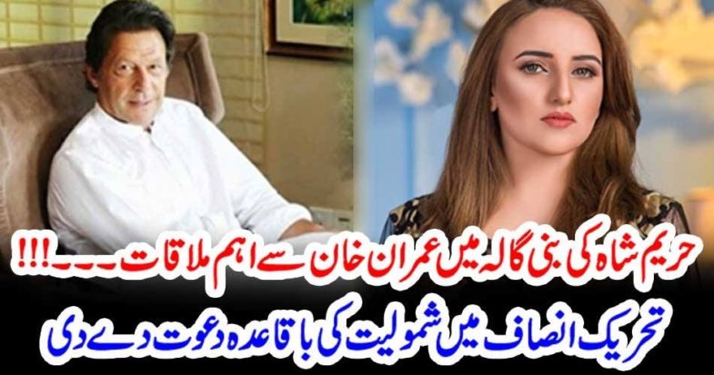 famous, model, meeting, with, Prime Minister, Imran Khan, facts, revealed, by, the, model