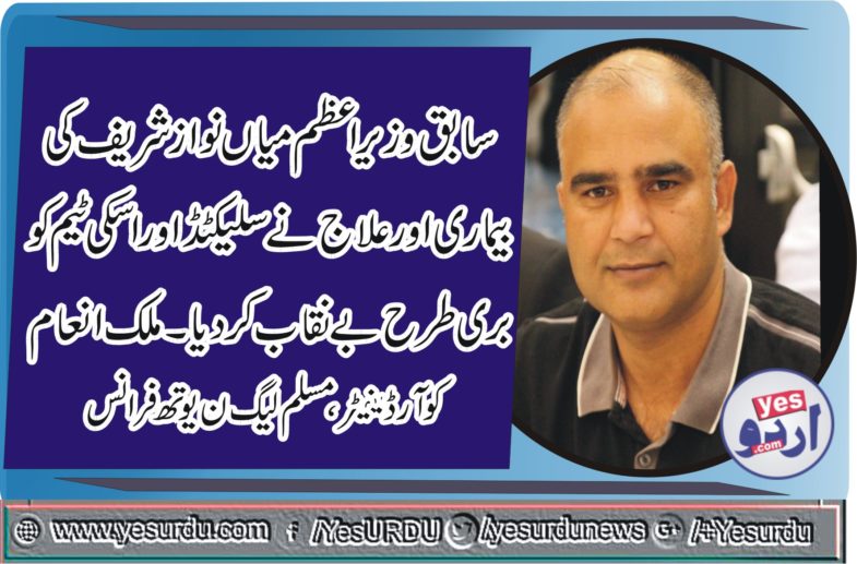 MALIK INAM, COORDINATOR, PMLN, YOUTH WING, FRANCE