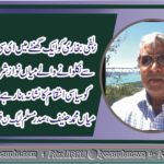 Mian Muhammad Hanif, President, PMLN, France