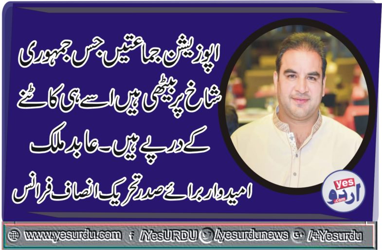 MALIK ABID, CANDIDATE, FOR, PRESIDENT, PTI, FRANCE, SAYS, OPPOSITION, CUTTING, THE, BRANCH, ON, WHICH, THEY, ARE, SITTING