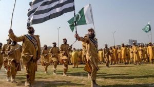 there, is, no, use, of, licence,for, stick, almost, 2 and half, feet,long,stick