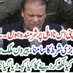 Nawaz Shareif, should, be, allowed, to, go, abroad, only, on, one, condition, that, he, will, give, in, written, that, he, was, unable, to, build, a, hospital, where, he, could, be, treated,fully