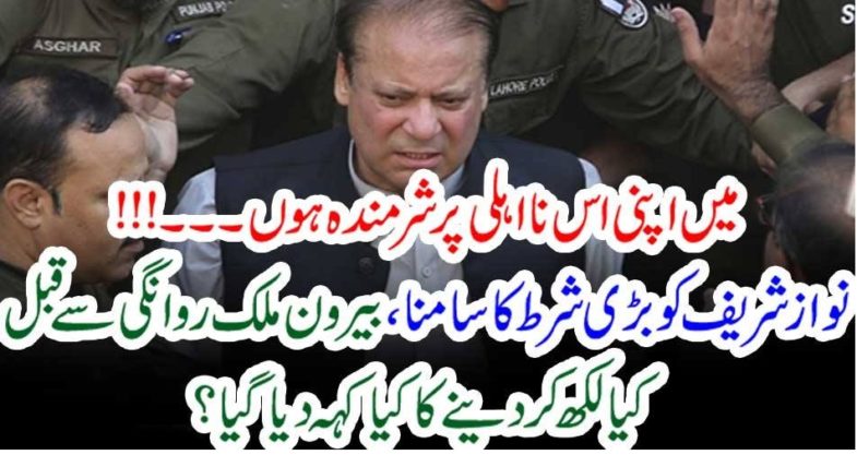 Nawaz Shareif, should, be, allowed, to, go, abroad, only, on, one, condition, that, he, will, give, in, written, that, he, was, unable, to, build, a, hospital, where, he, could, be, treated,fully