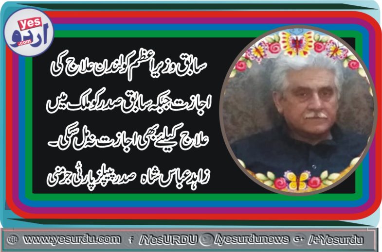 Syed Zahid Abbas Shah, President, PPP, Germany, condemns, Government's, Decision, about, Asif Ali Zardari 